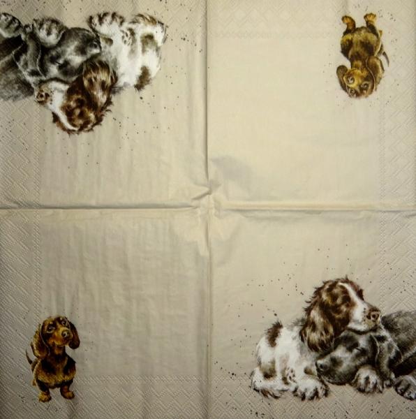 110 Dogs - 3-ply - Wrendale Designs - Hannah Dale